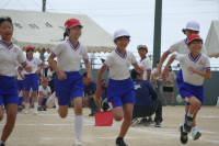 P1550855