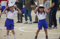 P1560095