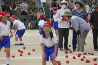 P1560099