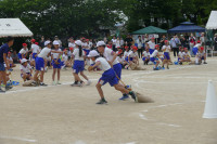 P1560128