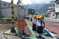 P1560529