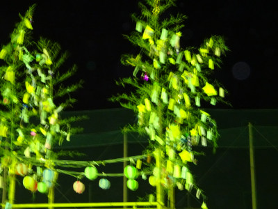 DSC02702