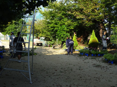 DSC02753