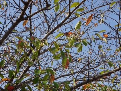 DSC03422