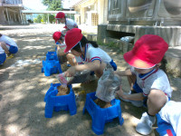 IMG_20260507_105218