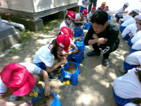 IMG_20260507_110528