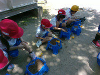 IMG_20260507_110853