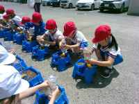 IMG_20260507_112612